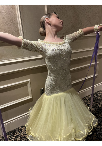 Performance Ballroom Dress 07