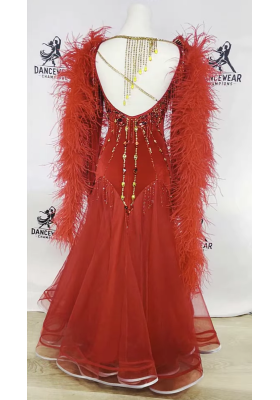 Performance Ballroom Dress 02