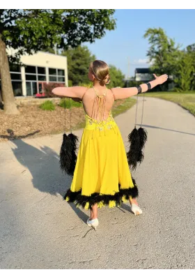 Performance Ballroom Dress 06