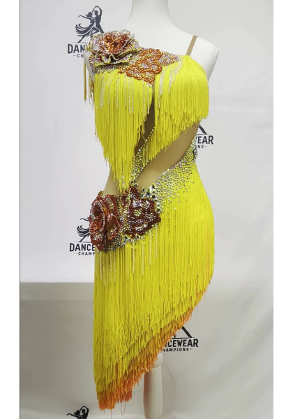 Performance Latin Dress 05