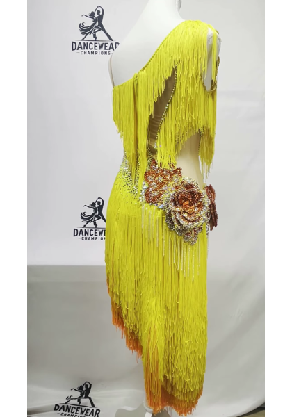 Performance Latin Dress 05