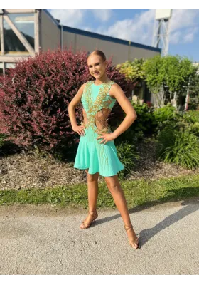 Performance Latin Dress 11