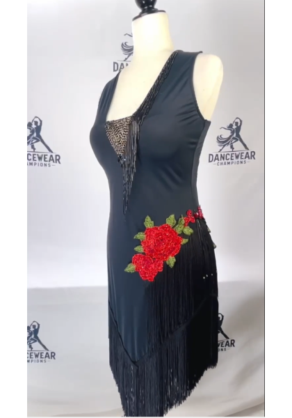 Performance Latin Dress 13