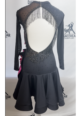 Performance Latin Dress 14