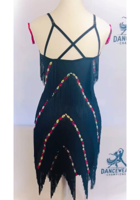 Performance Latin Dress 15