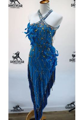 Performance Latin Dress 16