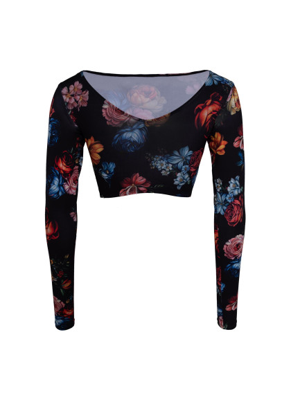 Latin Top-65 R Motives