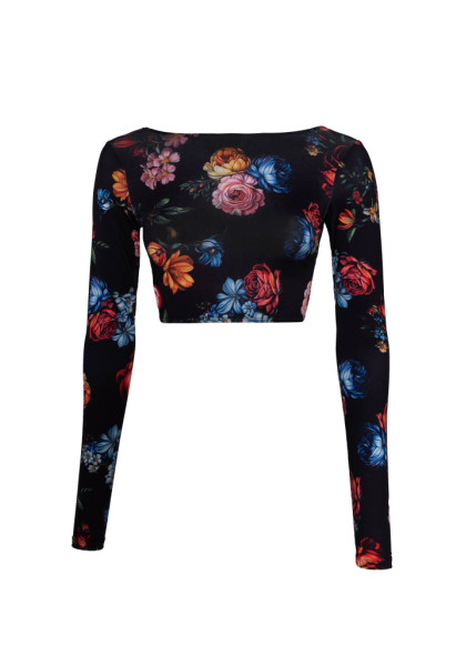 Latin Top-65 R Motives