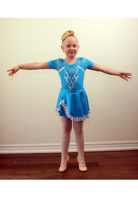 Ballet Girls Leotard Dress Performance Costume