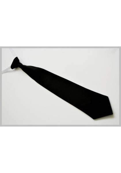 Boys Mens Tie on an elastic band