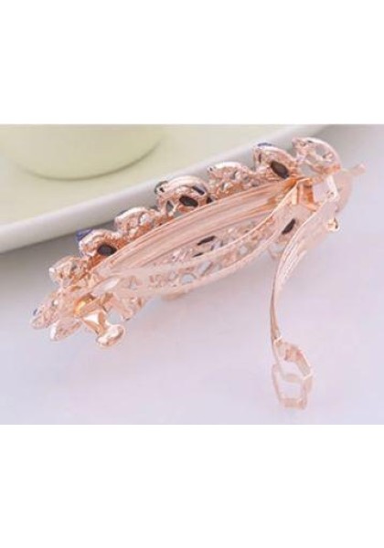 Metal Hair Clips 01